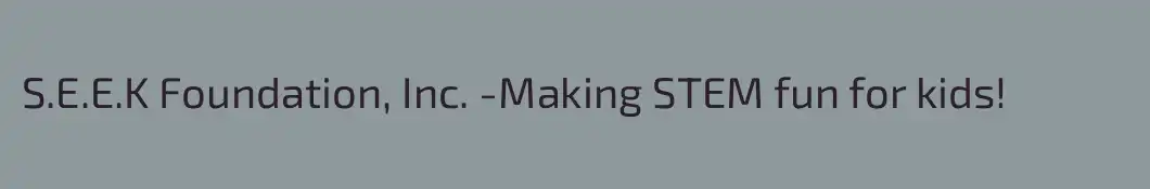 S.E.E.K Foundation, Inc. -Making STEM fun for kids!